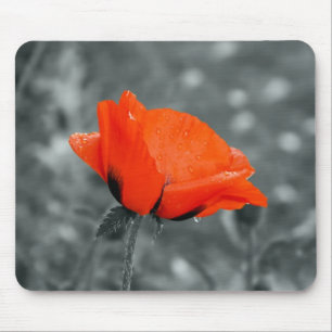 Färgnyckel poppy musmattor