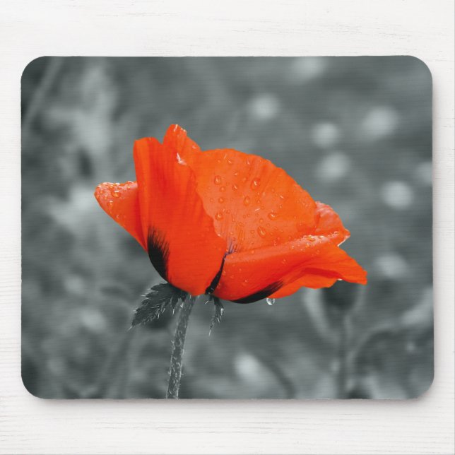 Färgnyckel poppy musmattor (Framsidan)