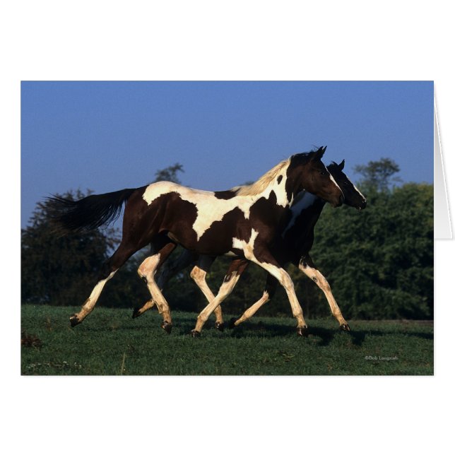 Färgorientering som körs hälsningskort (Framsidan Horizontal)