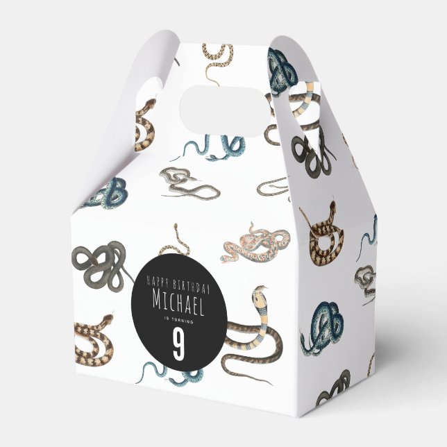 Färgormar Födelsedagsfest för reptila djur Presentaskar (Framsidan Sidan)