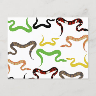 Färgormar Python Reptile Mönster Helg Vykort