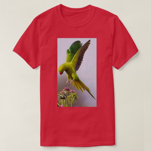 Färgpapegoja 1 t shirt (Design framsida)