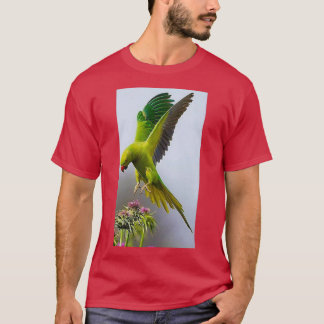Färgpapegoja 1 t shirt