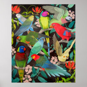 Färgpartier och paraketer Poster