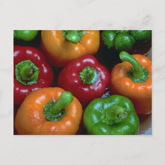 Färgpeppar, närpaprika vykort (Framsida)