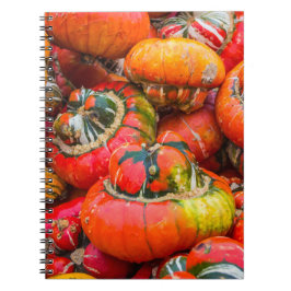 Färgpumpor Anteckningsbok