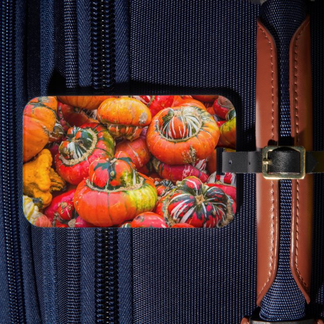 Färgpumpor Bagagebricka (Framsida Insitu 4)