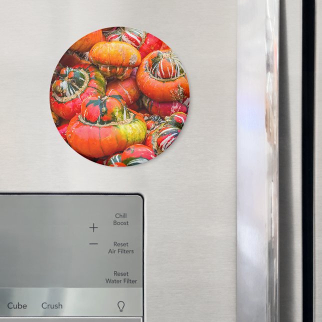 Färgpumpor Magnet (In Situ (Fridge))