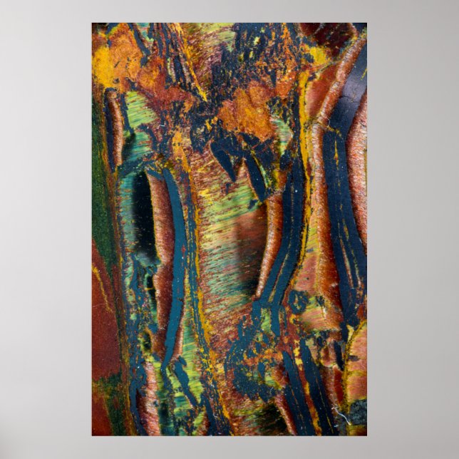 Färgrik abstrakt av en Tiger eye Poster (Framsidan)
