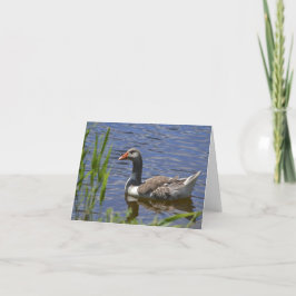 Färgrik anka Notecard Kort