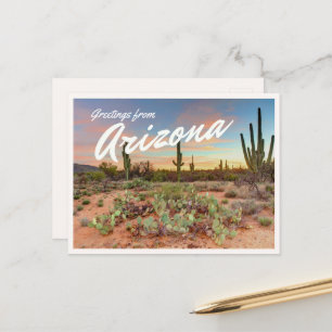Färgrik Arizona solnedgång Saguaro Kaktus Hälsning Vykort