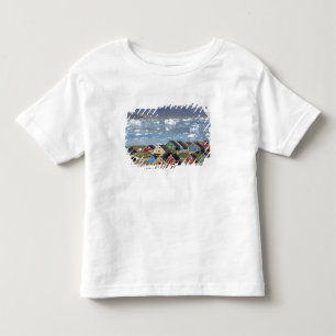 Färgrik arkitektur i staden, Narsaq, Tee