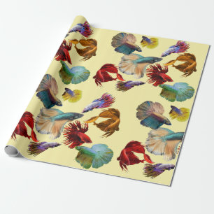Färgrik Betta fisk Presentpapper