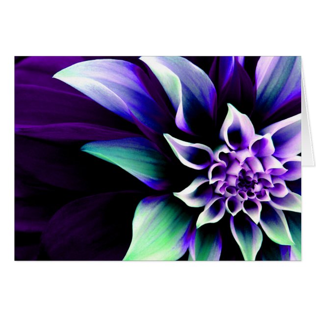 Färgrik blomma 3 hälsningskort (Framsidan Horizontal)