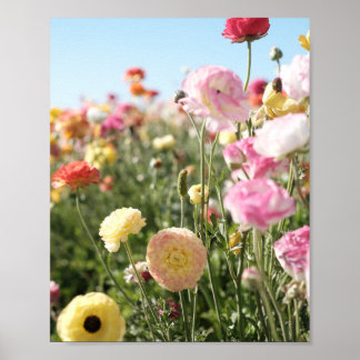 Färgrik blommig tryck, Affischpapper (halvblank) Poster