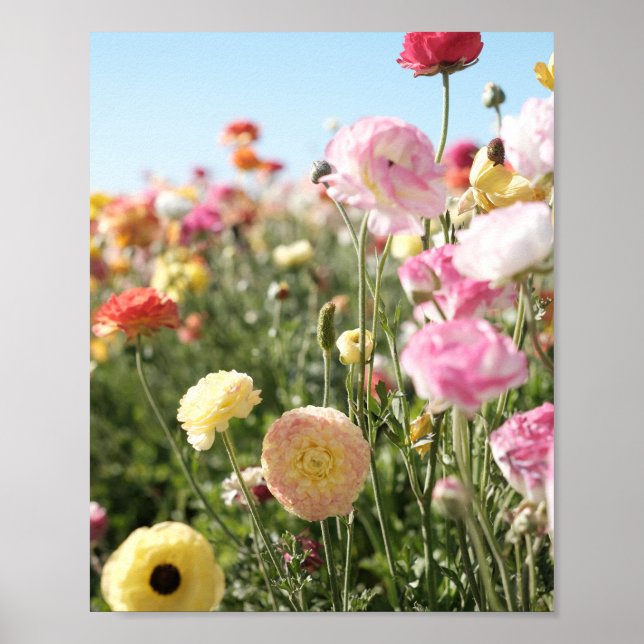 Färgrik blommig tryck,  Affischpapper (halvblank) Poster (Framsidan)