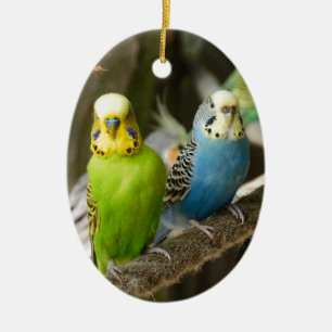 Färgrik Budgie fågel Julgransprydnad Keramik