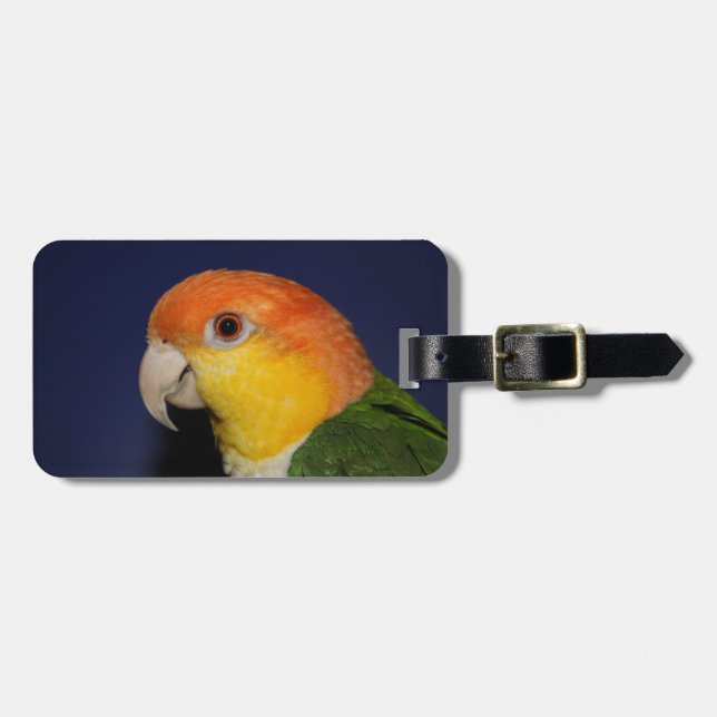 Färgrik Caiquepapegoja Bagagebricka (Horisontell Framsida)