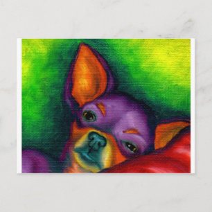 Färgrik Chihuahua Vykort