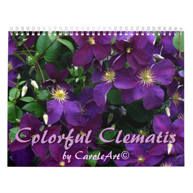 Färgrik Clematis 2013 för Z Kalender (Omslag)