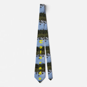 Färgrik Colorado stenig bergTIE Slips