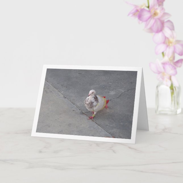 Färgrik duva vid San Miguel-klostret Kort (Orkide)