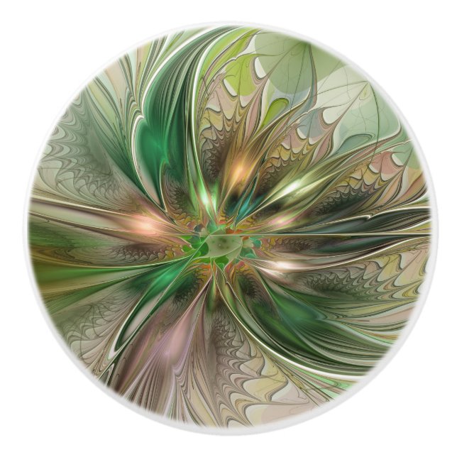 Färgrik Fantasi Modern Abstrakt Fraktal Knopp (Framsidan)