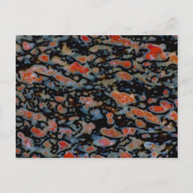 Färgrik fossiliserad dinosaurie-ben vykort (Framsida)