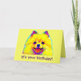 Färgrik grattis på födelsedagen Pomeranian Kort