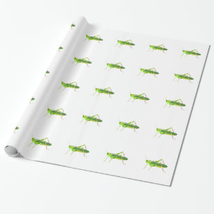 Färgrik grön gräshoppa presentpapper