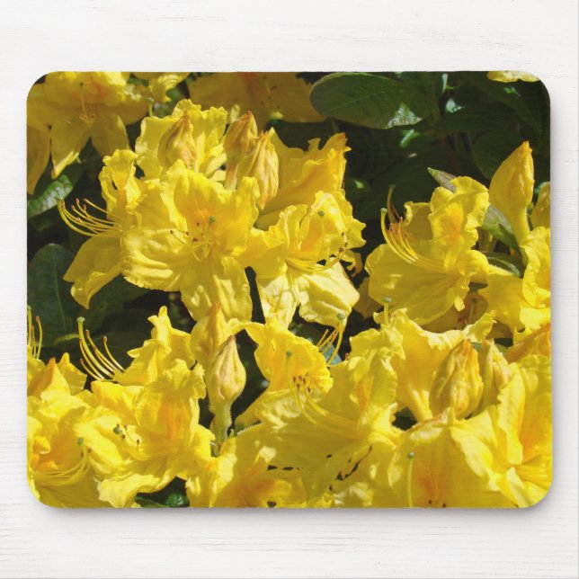 Färgrik gul rhodies blomsterträdgård musmattor (Framsidan)