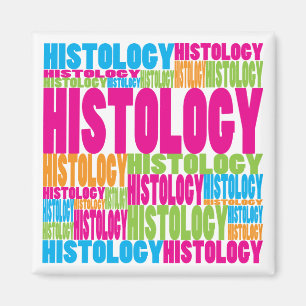 Färgrik histologi magnet