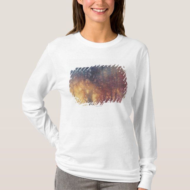Färgrik höst tee (Framsida)