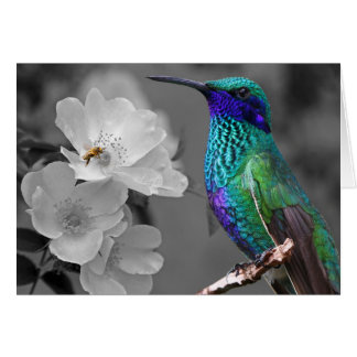 Färgrik Hummingbird, blommor och bikort Hälsningskort