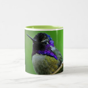 Färgrik Hummingbirdmugg Två-Tonad Mugg