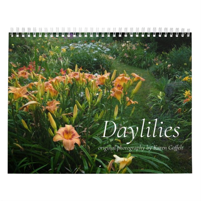 Färgrik hybrid- Dayliles Hemerocallis Kalender (Omslag)