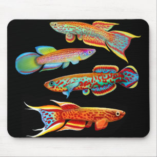 Färgrik Killifish Mousepad Musmatta