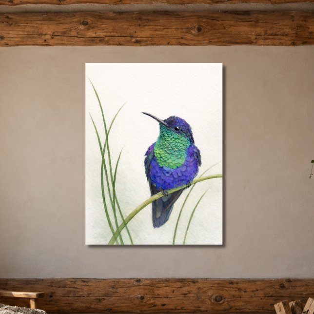Färgrik Kronad Trädnimf Kolibri  Poster (Skapare uppladdad)