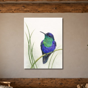 Färgrik Kronad Trädnymf Kolibri  Poster