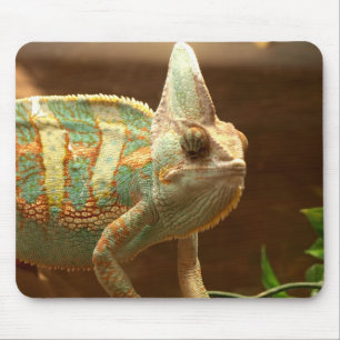 färgrik lizzard musmatta