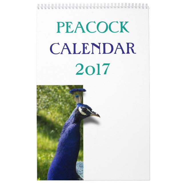 Färgrik påfågel 2017 kalender (Omslag)
