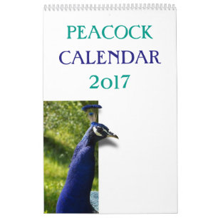 Färgrik påfågel 2017 kalender