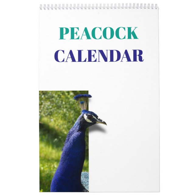 Färgrik påfågel 2019 kalender (Omslag)