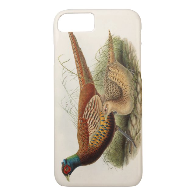 Färgrik pheasant Case-Mate iPhone skal (Baksida)