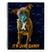 Färgrik Pop Art Hundporträtt — "It's Just Dandy"