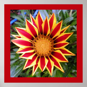 Färgrik röd och gul blomfotoaffisch poster