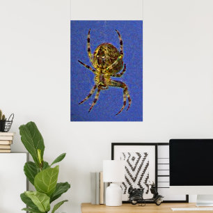 Färgrik Rundnätsspindel Poster
