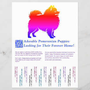 Färgrik teckning av Pomeranian-valp Reklamblad