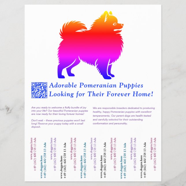 Färgrik teckning av Pomeranian-valp  Reklamblad (Framsidan)
