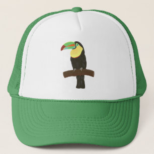 Färgrik Toucan målning på hattar Keps